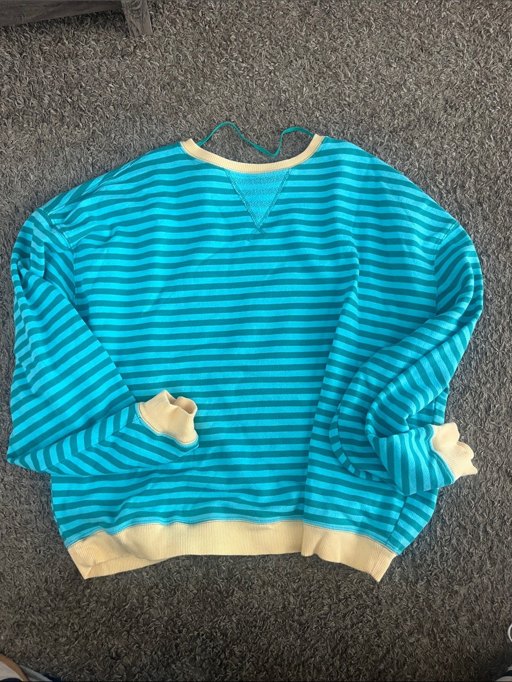 We The Free Turquoise & Teal Striped Crewneck Sweatshirt with Cream Trim